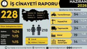 İSİG Meclisi iş cinayeti raporunu açıkladı