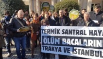 Kuzey Ormanları Savunması: Ölüm bacalarını durdur